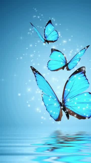 20190707_223841_1_  00:56 | Alltagsbilder mit dem Handy am Straßenrand
 Handy  Video Sperrbildschime HD Wallpaper Wallpaper Einfarbige Hindergründe Tapeten Cool Garo Aktuelle Bilder des Tages
NEWS
Cool Garo
Blumen
Rosen
Hindergründe
Himmel,Wolken Sonne Auf und Untergänge
I L - Realisiert mit Pictrs.com