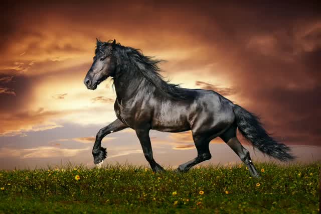 20190715_075218_1_  01:00 | Alltagsbilder mit dem Handy am Straßenrand
 Handy  Video Sperrbildschime HD Wallpaper Wallpaper Einfarbige Hindergründe Tapeten Cool Garo Aktuelle Bilder des Tages
NEWS
Cool Garo
Blumen
Rosen
Hindergründe
Himmel,Wolken Sonne Auf und Untergänge
I L - Realisiert mit Pictrs.com