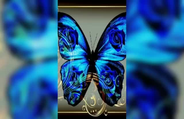 VID-20190708-WA0001_1_  00:48 | Alltagsbilder mit dem Handy am Straßenrand
 Handy  Video Sperrbildschime HD Wallpaper Wallpaper Einfarbige Hindergründe Tapeten Cool Garo Aktuelle Bilder des Tages
NEWS
Cool Garo
Blumen
Rosen
Hindergründe
Himmel,Wolken Sonne Auf und Untergänge
I L - Realisiert mit Pictrs.com