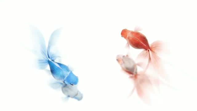 20190717_083053_1_  01:00 | Alltagsbilder mit dem Handy am Straßenrand
 Handy  Video Sperrbildschime HD Wallpaper Wallpaper Einfarbige Hindergründe Tapeten Cool Garo Aktuelle Bilder des Tages
NEWS
Cool Garo
Blumen
Rosen
Hindergründe
Himmel,Wolken Sonne Auf und Untergänge
I L - Realisiert mit Pictrs.com