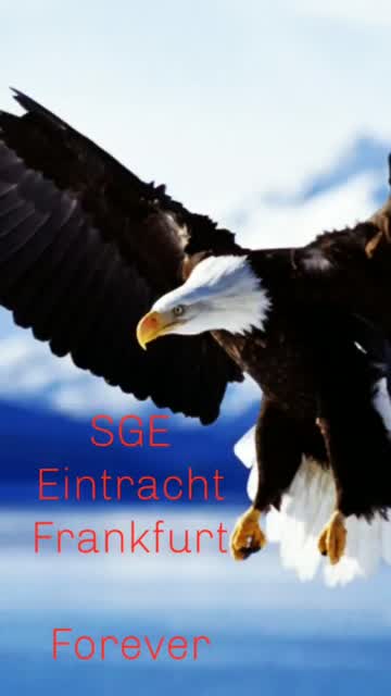 VID-20190707-WA0028_1_  00:36 | Alltagsbilder mit dem Handy am Straßenrand
 Handy  Video Sperrbildschime HD Wallpaper Wallpaper Einfarbige Hindergründe Tapeten Cool Garo Aktuelle Bilder des Tages
NEWS
Cool Garo
Blumen
Rosen
Hindergründe
Himmel,Wolken Sonne Auf und Untergänge
I L - Realisiert mit Pictrs.com